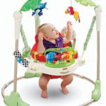 Fisher Price Rainforest Jumperoo Review